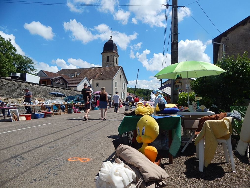 pomoy fete comite (40)