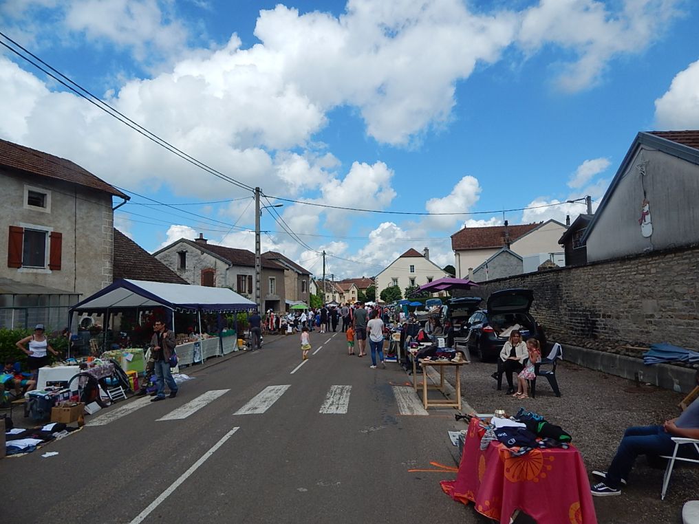 pomoy fete comite (5)